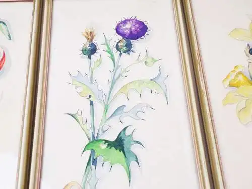 Aquarell Blumen Botanik Signiert 3 Stück Set Bilderrahmen
