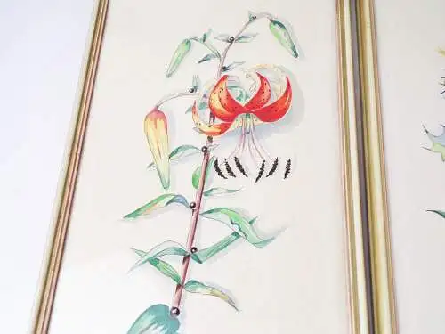 Aquarell Blumen Botanik Signiert 3 Stück Set Bilderrahmen