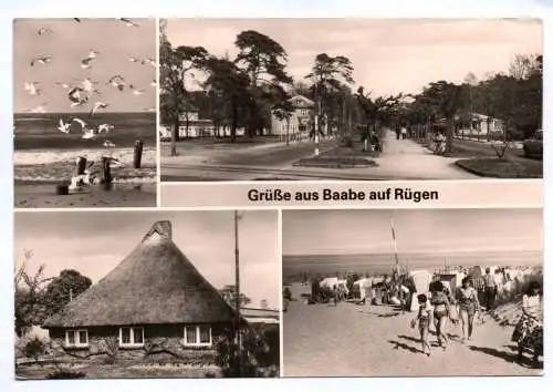 Ak Grüße aus Baabe auf Rügen 1981 Menschen Strand Vögel