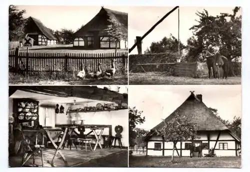 Ak Denkmalhof Klockenhagen Kreis Ribnitz Damgarten 1971