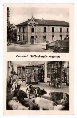 Foto Ak Herrnhut Völkerkunde Museum 1956