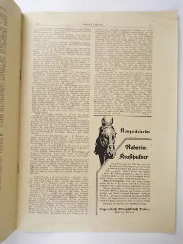Deutsche Sankt Georg Sportzeitung Pferde Reitsport 1920