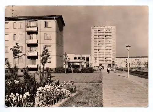 Foto Ak Cottbus Süd Leipziger Straße 1969