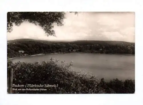 Ak Buckow (Märkische Schweiz) 1960 Blick von den Bollersdorfer Höhen