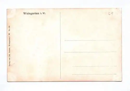 Künstler Ak Weingarten in Württemberg