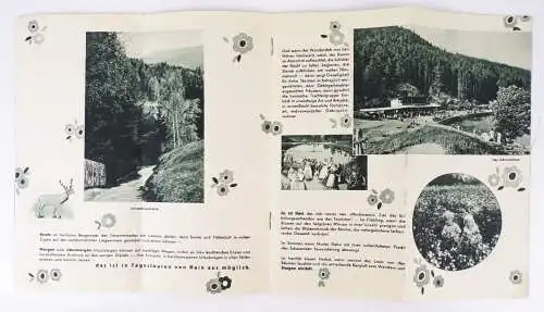 Reiseprospekt Hain Riesengebirge Schlesien 1930 er