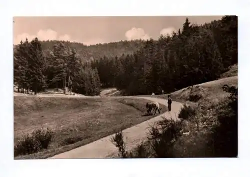 Foto Ak Hinternah Thüringen Kohlbach 1963