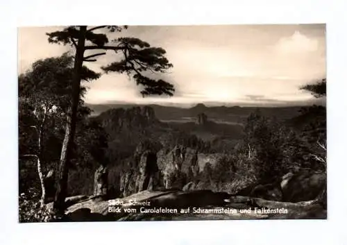 Foto Ak Blick vom Carolafelsen auf Schrammsteine und Falkenstein 1969
