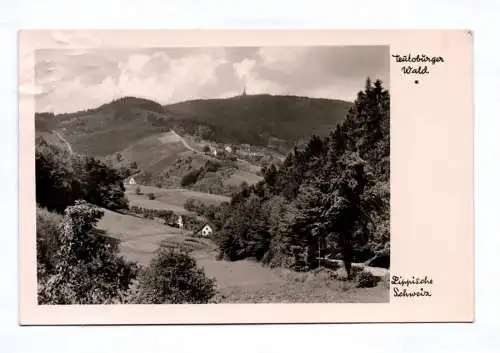 Foto Ak Teutoburger Wald Lippische Schweiz