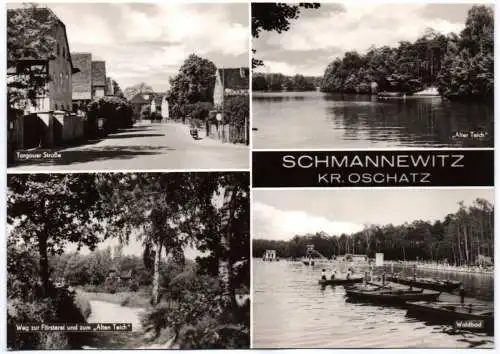Ak Schmannewitz Kreis Oschatz Weg zur Försterei und zum Alten Teich 1968