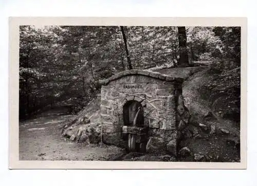 Ak Luftkurort Stecklenberg Harz Radiumquelle 1954