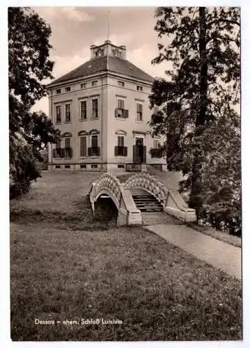 Foto Ak Dessau ehemaliges Schloß Luisium 1970