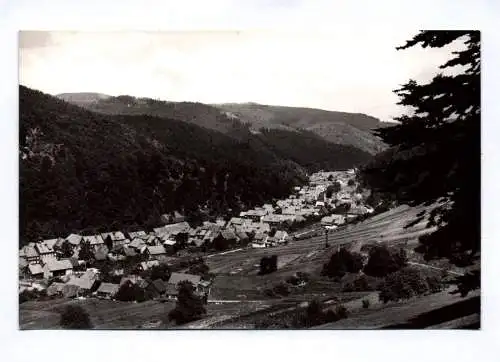 Foto Ak Kurort Schleusinger Neundorf Thüringer Wald 1965