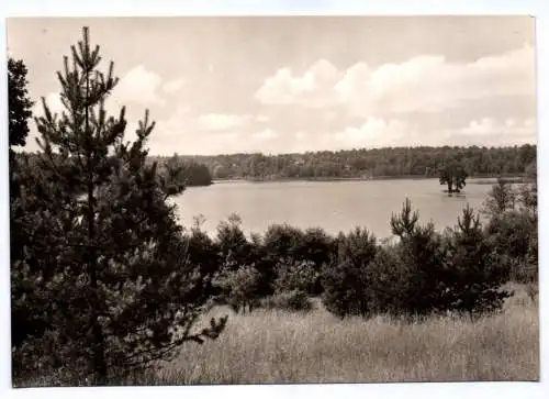 Foto Ak Neuglobsow Am Dagowsee 1973
