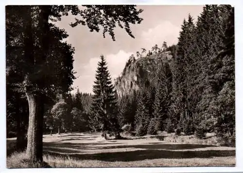 Foto Ak Tambach Dietharz Thüringen Im Schwarzwassergrund 1963