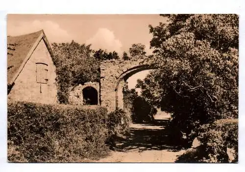Ak Hiddensee Kloster Klostermauer 1966