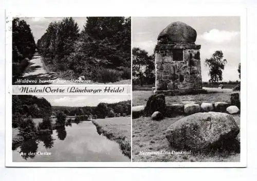 Ak Müden Örtze Hermann Löns Denkmal Waldweg 1956