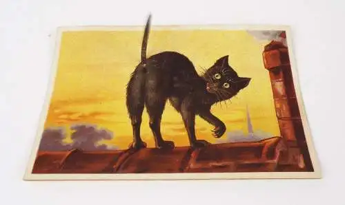 Scherz Ak Katze mit Wackel Schwanz Humor