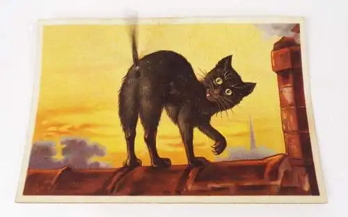 Scherz Ak Katze mit Wackel Schwanz Humor