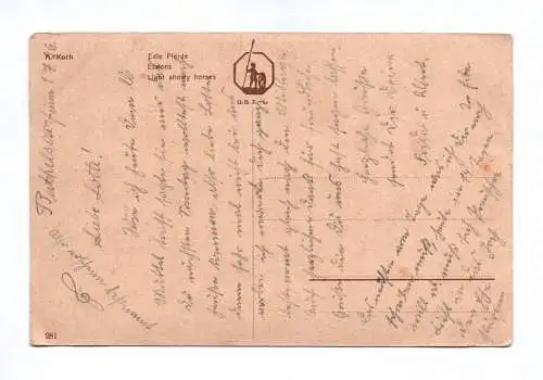 Künstler Ak A. Koch Edle Pferde 1926
