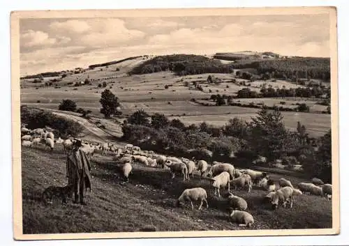 Foto Ak Schäfer mit Schafherde Bischofsheim Röhn