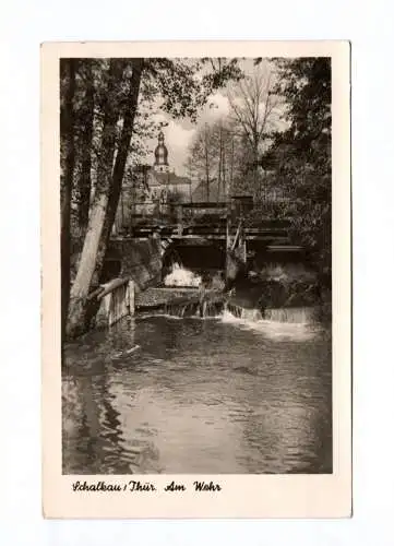 Ak Schalkau Thüringen Am Wehr 1954