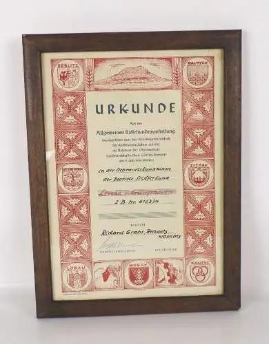 Urkunde Görlitz Rassehunde Ausstellung 1950