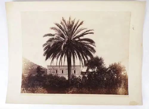 Albumin Capri Palmen Hotel Pagane um 1890
