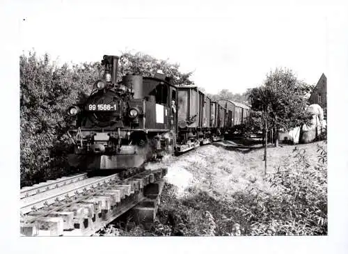 Foto Dampflok 99 1566-1  Oschatz Mügeln  Kemmlitz in Nebitzschen Eisenbahn