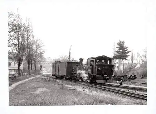 Foto Ak Dampflok 99 1564-6 Schmalspurbahn Oschatz Mügeln Kemmlitz in Oschatz