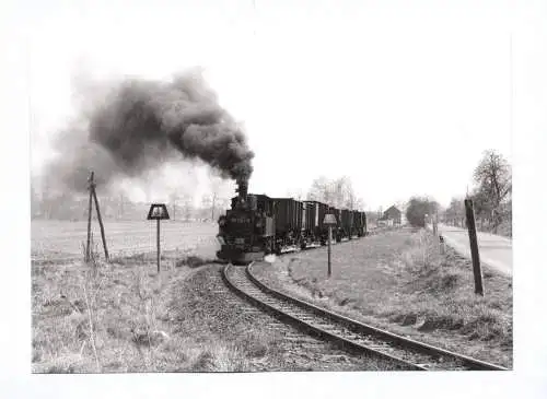 Foto Dampflok 99 1542-2 Oschatz Mügeln Kemmlitz Schmalspurbahn in Nebitzschen