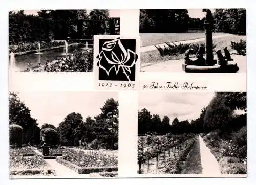 Ak 50 Jahre Forster Rosengarten 1913 - 1963 Forst Lausitz
