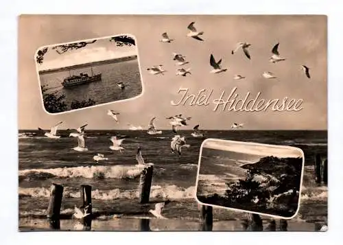 Ak Insel Hiddensee 1966 Boot Wellen Meer