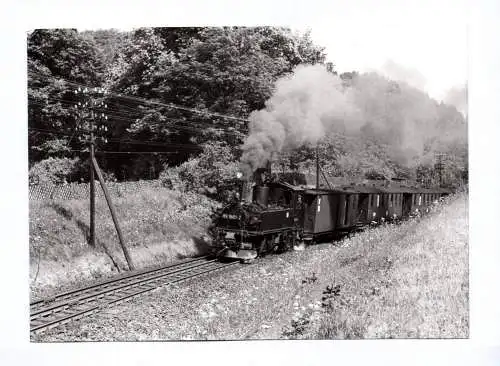 Foto Dampflok 99 1561-2 Schmalspurbahn Wolkenstein Jöhstadt bei Wolkenstein