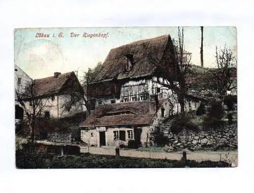 Künstler Ak Löbau in Sachsen Der Ziegenkopf 1906