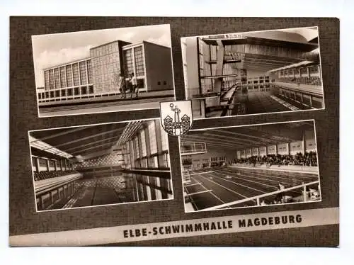 Ak Elbe Schwimmhalle Magdeburg 1965 Sachsen Anhalt