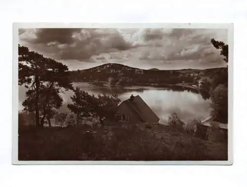 Ak Thammühl am See Lichtbild von Karl Streer Böhmen