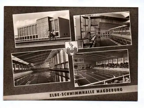 Ak Elbe Schwimmhalle Magdeburg 1965