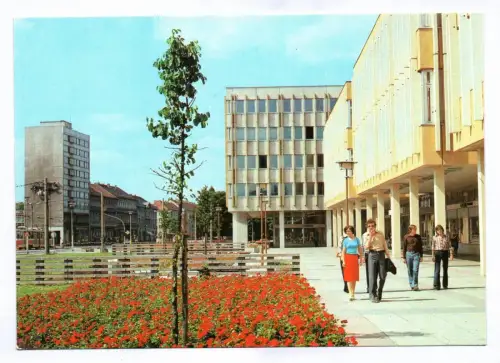 Foto Ak Potsdam 1984 Menschen auf der Friedrich Ebert Straße