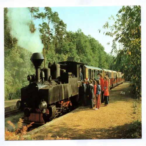 Foto Ak Pioniereisenbahn Cottbus 1982
