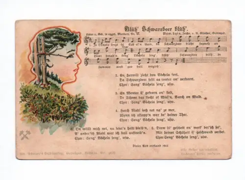 Anton Günther Lieder Ak Blüh Schwarzbeer blüh 1901 Erzgebirge