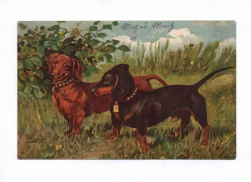 Künstler Ak Dackel Hunde 1921 in der Natur
