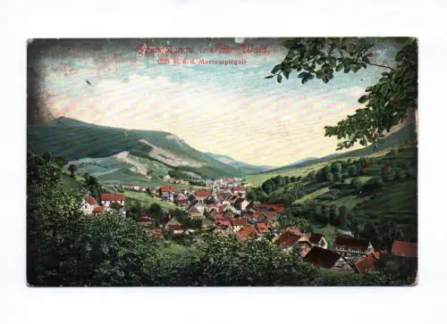 Künstler Ak Oberschönau im Thüringer Wald 1907