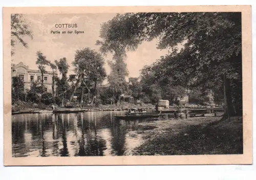 Ak Cottbus Partie an der Spree