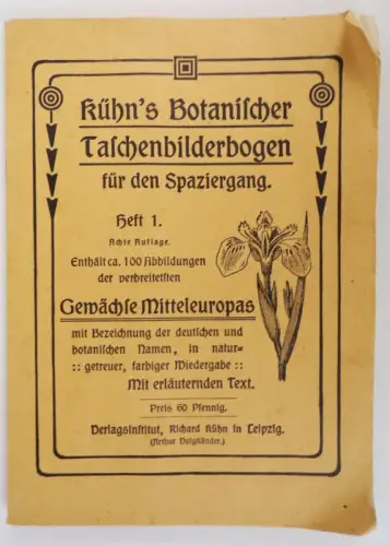 Kühns Botanischer Taschenbilderbogen Heft 1 Gewächse Mitteleuropas 