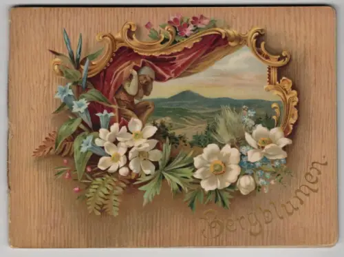 Bergblumen Bilder und Lieder aus dem Riesengebirge Winkler Gerlach Baer 1900er 