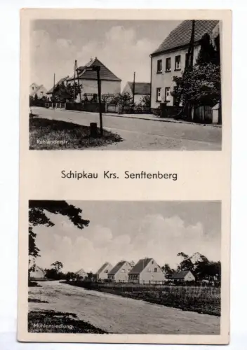 Ak Schipkau Kreis Senftenberg Ruhländerstraße Mühlensiedlung