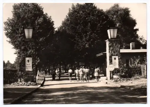 Foto Ak Bad Saarow Pieskow Pionierlager Lilo Herrmann Eingang 1968