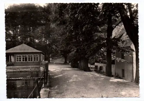 Foto Ak Waldgaststätte Höllmühle Chursdorf bei Penig 1965