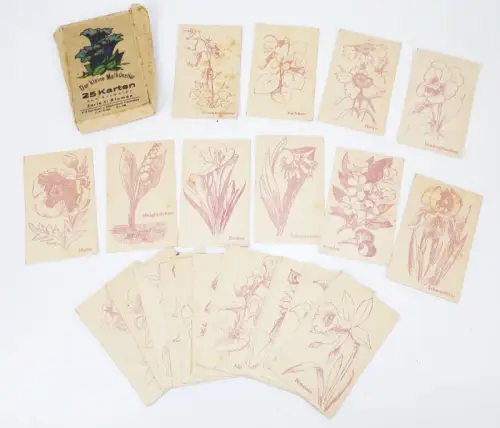 Der kleine Malkünstler 25 Karten zum Ausmalen 1947 Blumen 